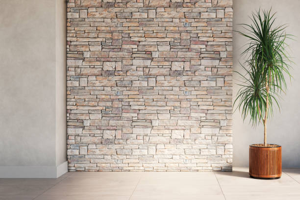 Interior accent wall finished with stacked natural stone veneer and modern indoor plant